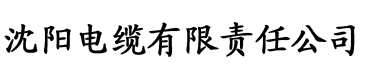 免费观看黄污视频网站电缆厂logo